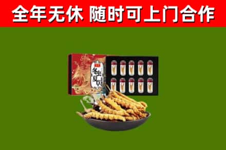 襄汾回收冬虫夏草价格